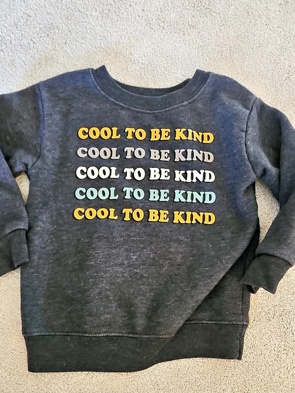 Garanimals Cool to Be Kind Graphic Sweatshirt 2T